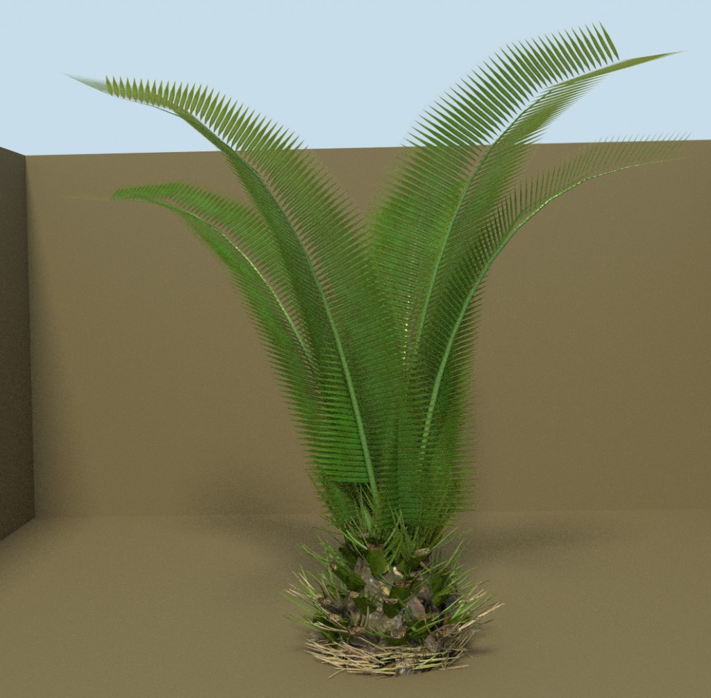 Small Palm preview image 1